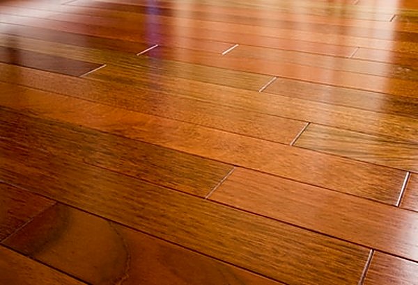 Hardwood in Castle Rock, CO